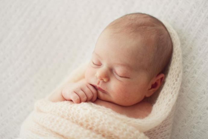 Lizzie 12_banner.jpg